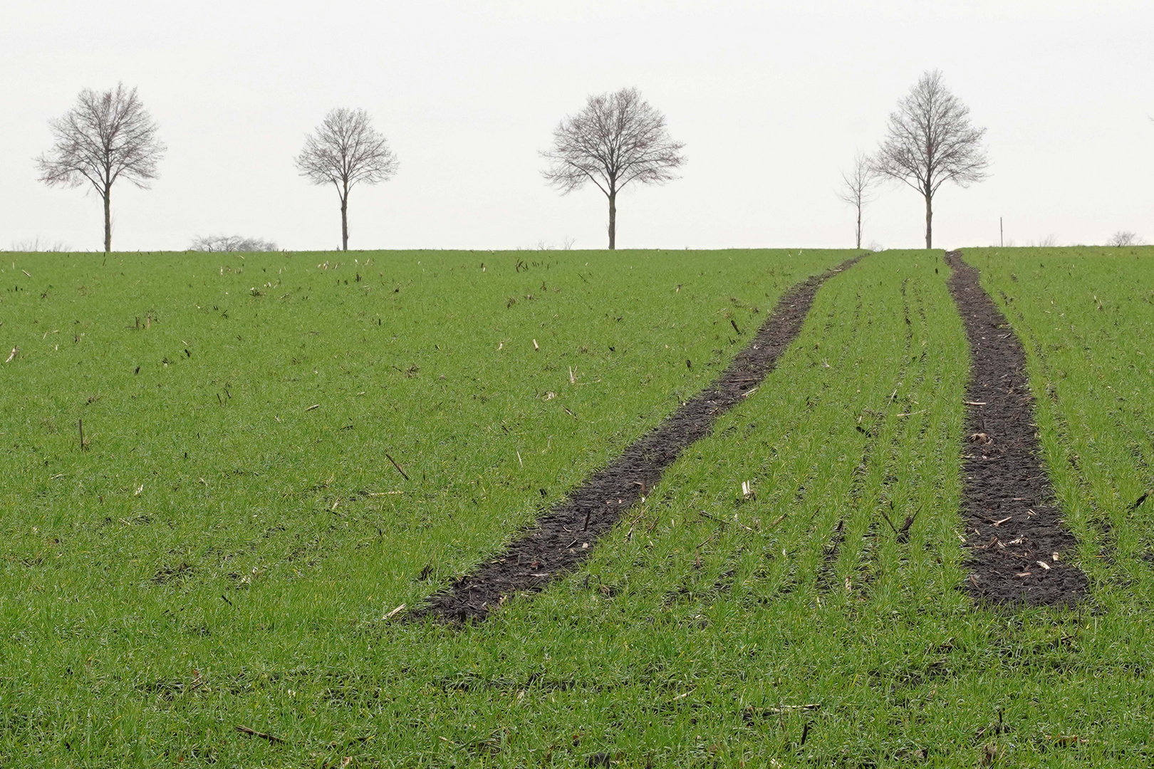 Alles im grünen Bereich