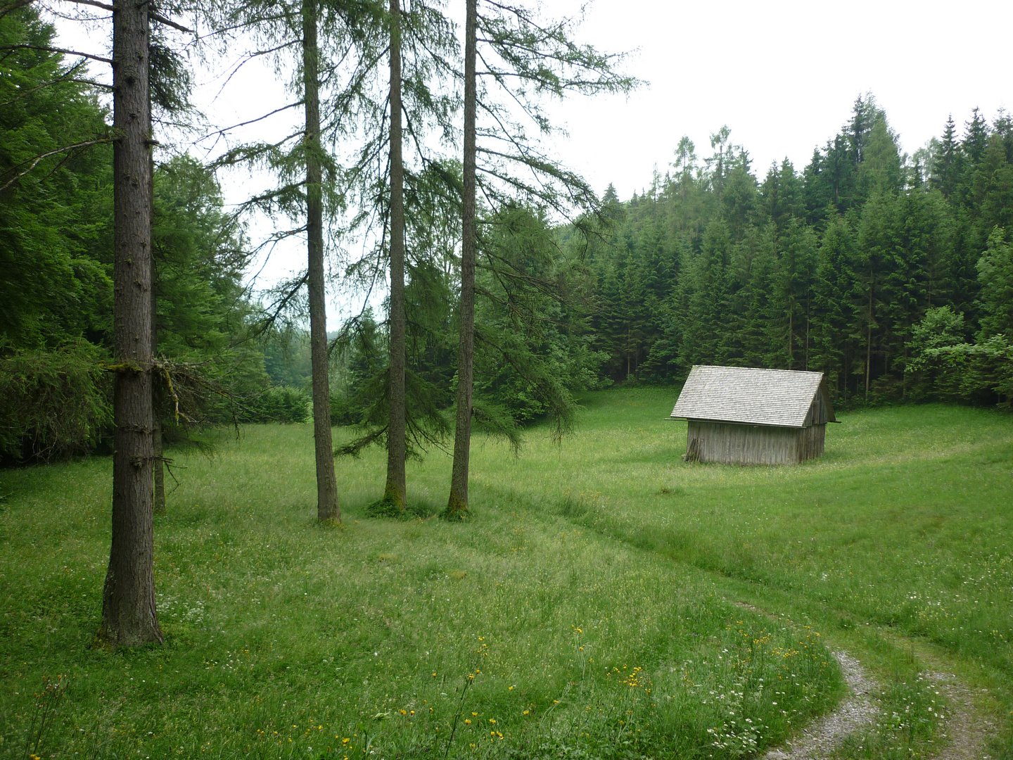 alles im grünen Bereich