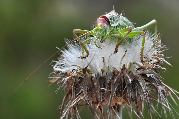Alles im grünen Bereich