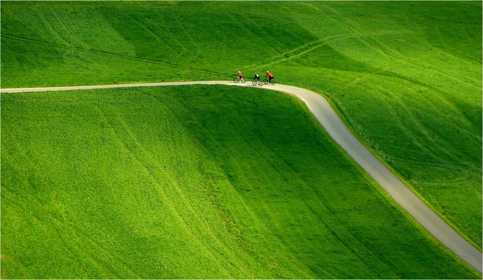 Alles im grünen Bereich