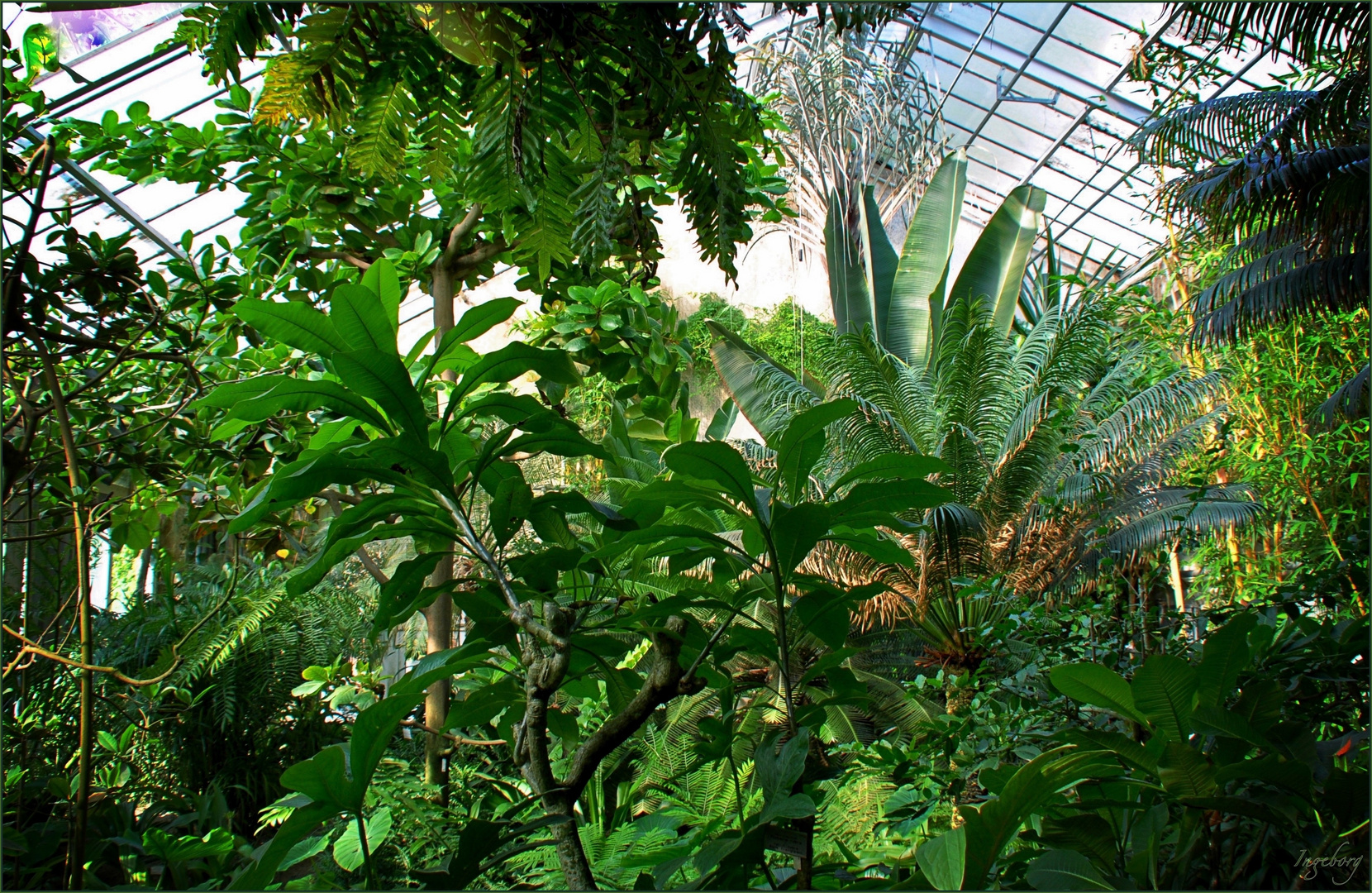 Alles Im Grunen Bereich Foto Bild Grun Munster Botanischer