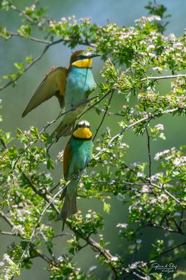 °°_ Alles im Überblick_°°