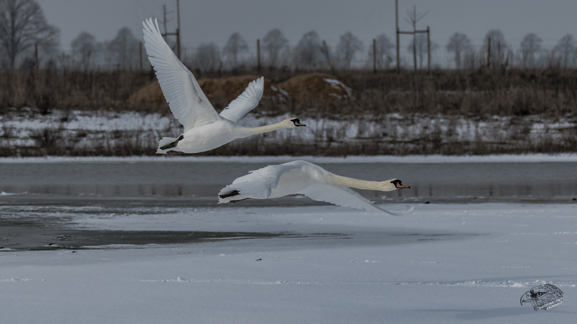 Alles in Weiss