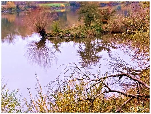 Alles ist herbstlich bunt !