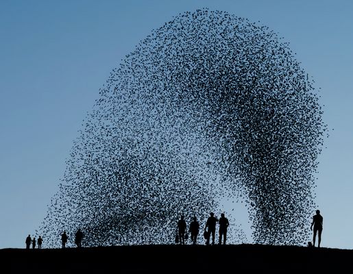 ... alles ist in Bewegung ...