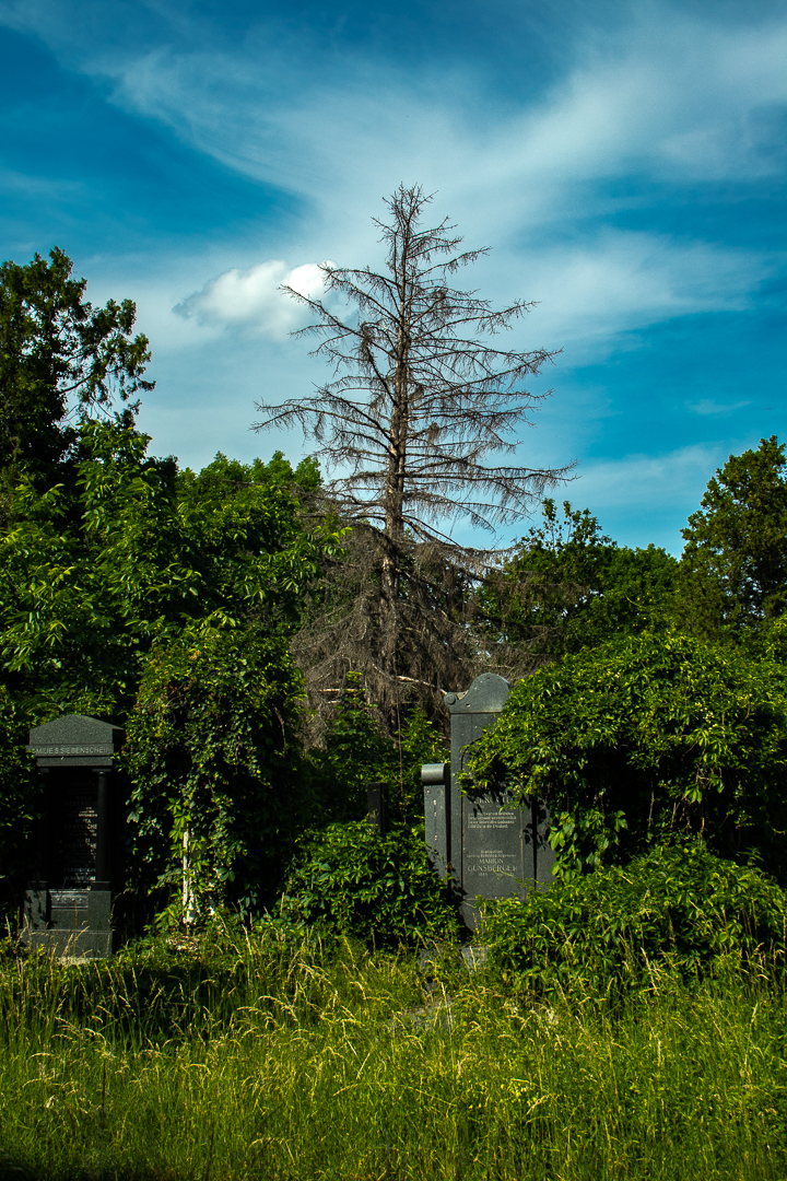 Es lebe der zentralfriedhof