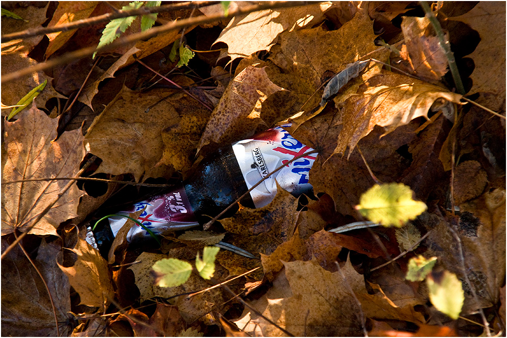 Alles ist vergänglich - nur die Bierflasche nicht