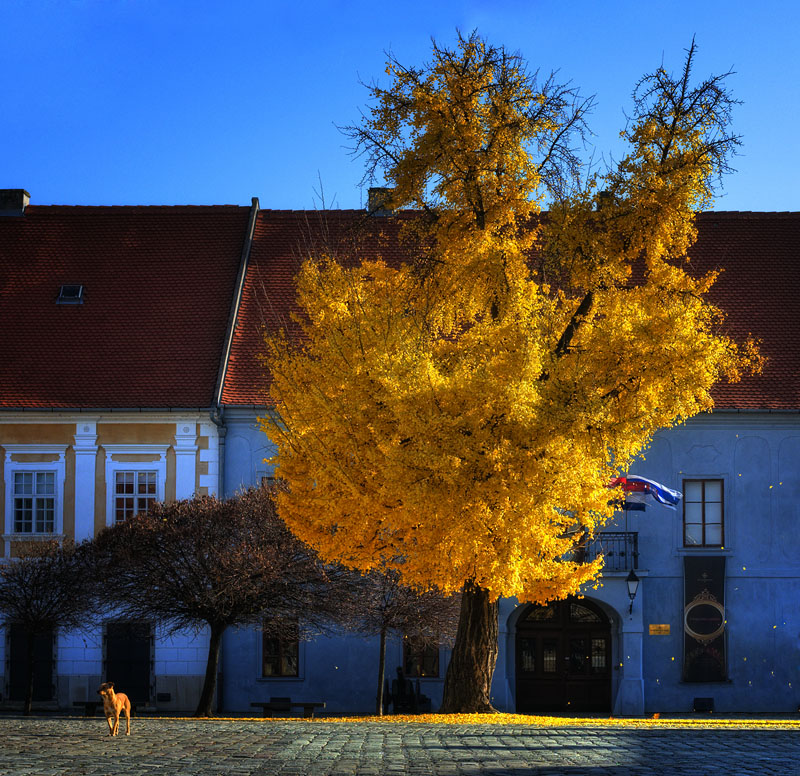 Alles ist wie der Herbst