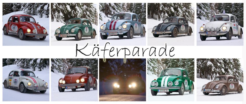 Alles Käfer, oder was