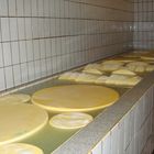 alles Käse 2