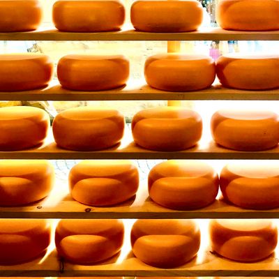 Alles Käse, oder was?