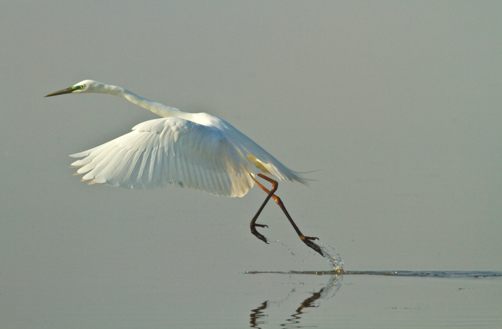 Alles kleine Fische (2.)