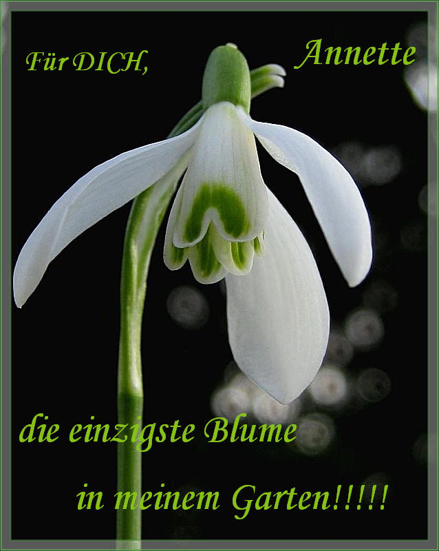 Alles Liebe.....