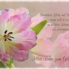 alles Liebe...