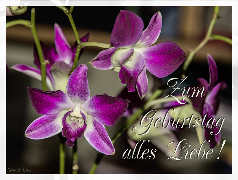 Alles Liebe,