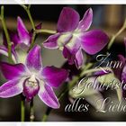 Alles Liebe,