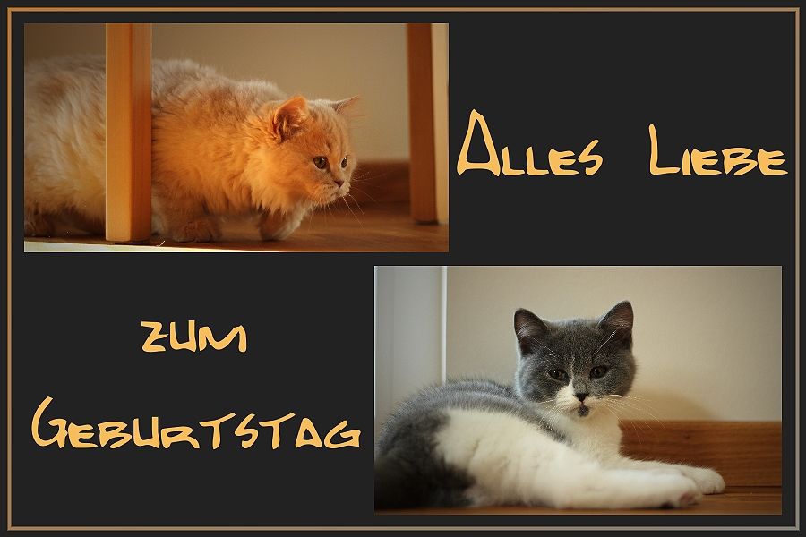 Alles Liebe...