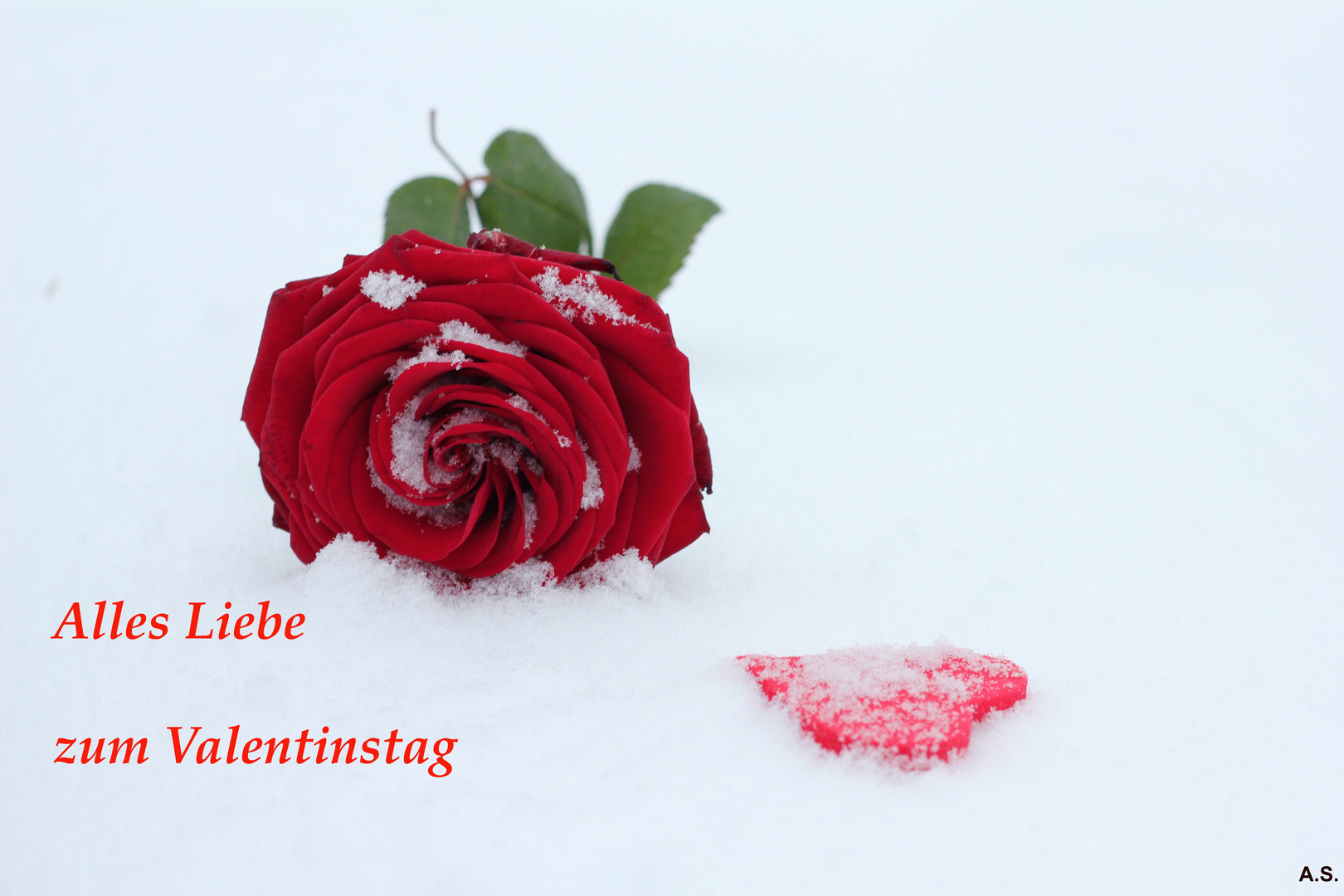 Alles Liebe