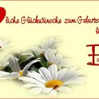 Alles Liebe..