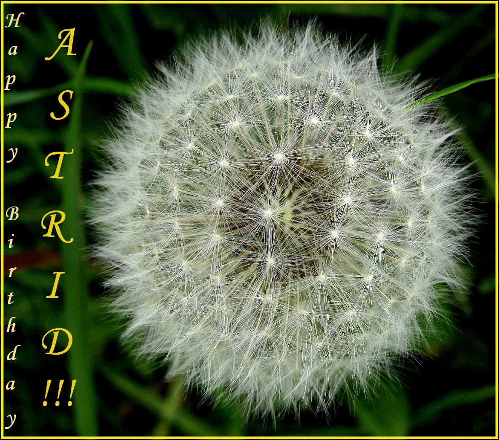 Alles Liebe, Astrid,