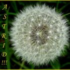 Alles Liebe, Astrid,