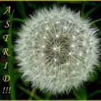 Alles Liebe, Astrid,