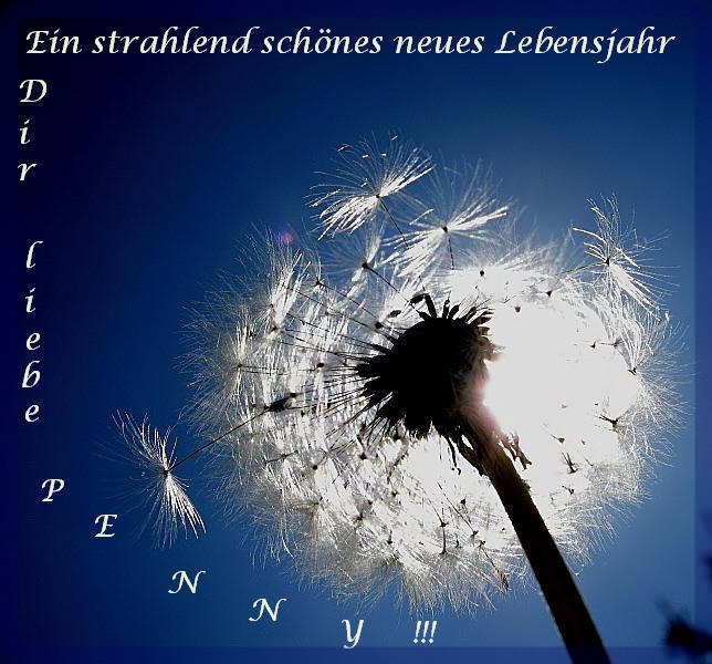 Alles Liebe......