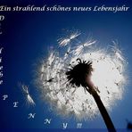 Alles Liebe......