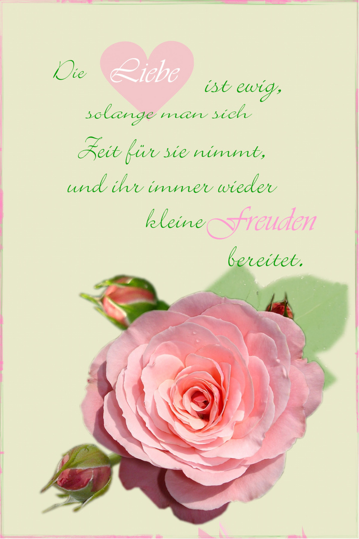 Alles LIEBE