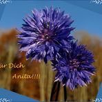 Alles Liebe für Anita!!