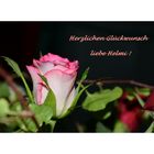 Alles Liebe und Gute ...