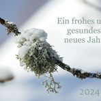 ALLES LIEBE UND GUTE IM NEUEN JAHR