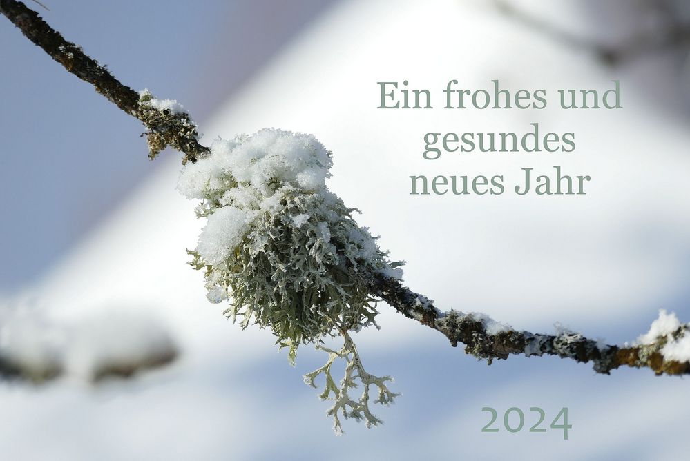 ALLES LIEBE UND GUTE IM NEUEN JAHR