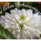 Alles Liebe zum Geburtstag!