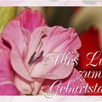 Alles Liebe zum Geburtstag,