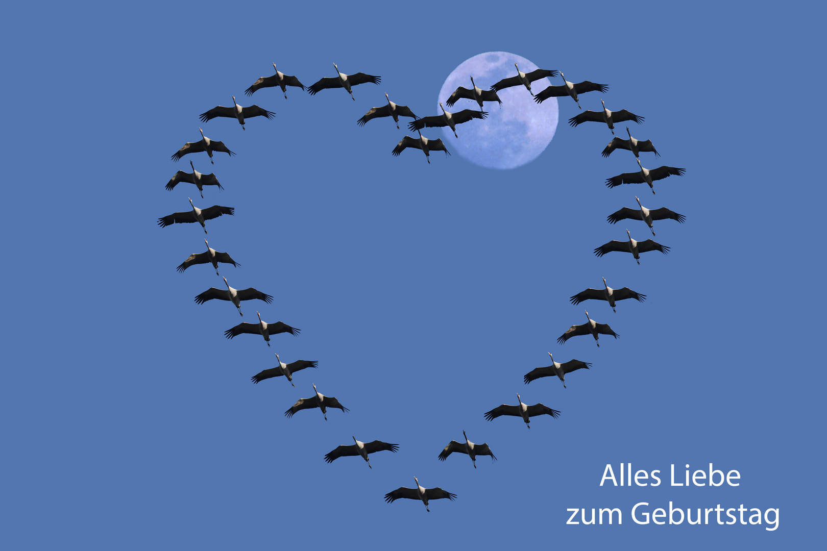 "Alles Liebe zum Geburtstag"