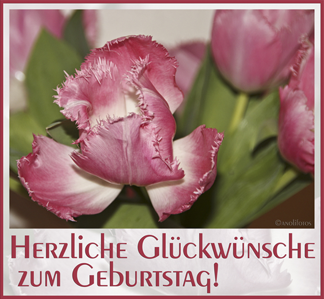 Alles Liebe zum Geburtstag,