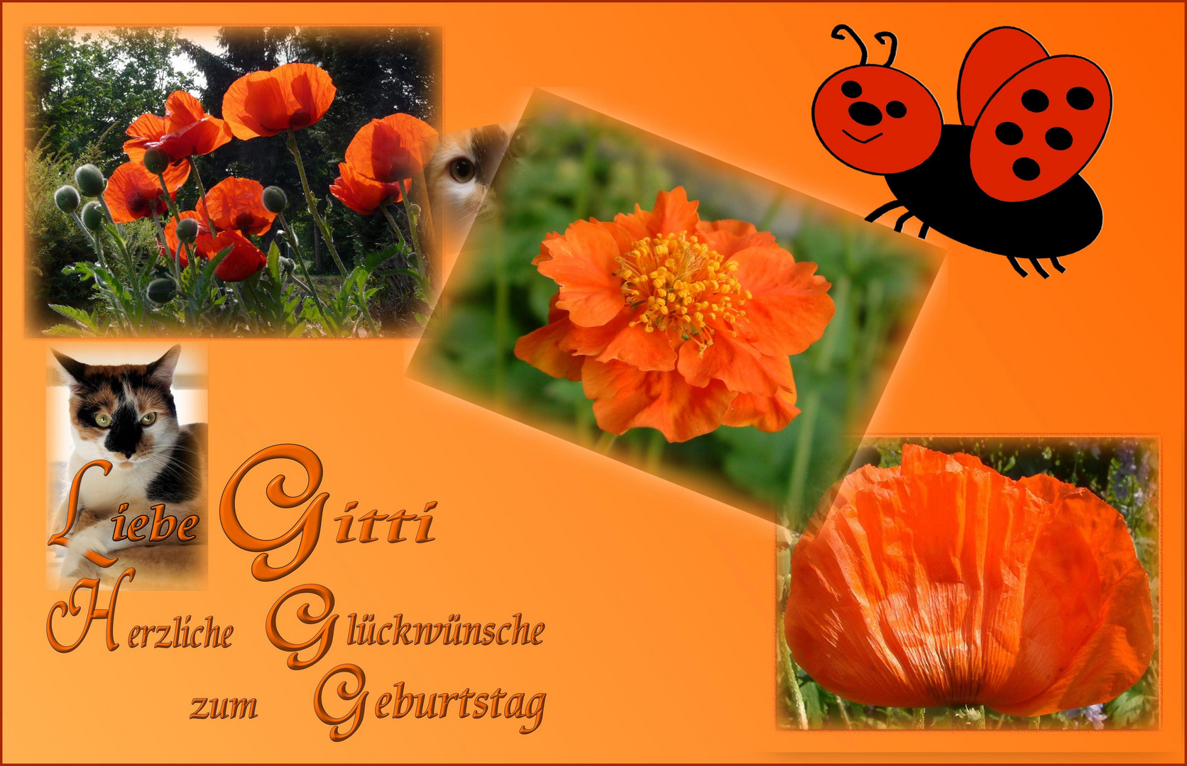 Alles Liebe zum Geburtstag... Foto & Bild gratulation und feiertage