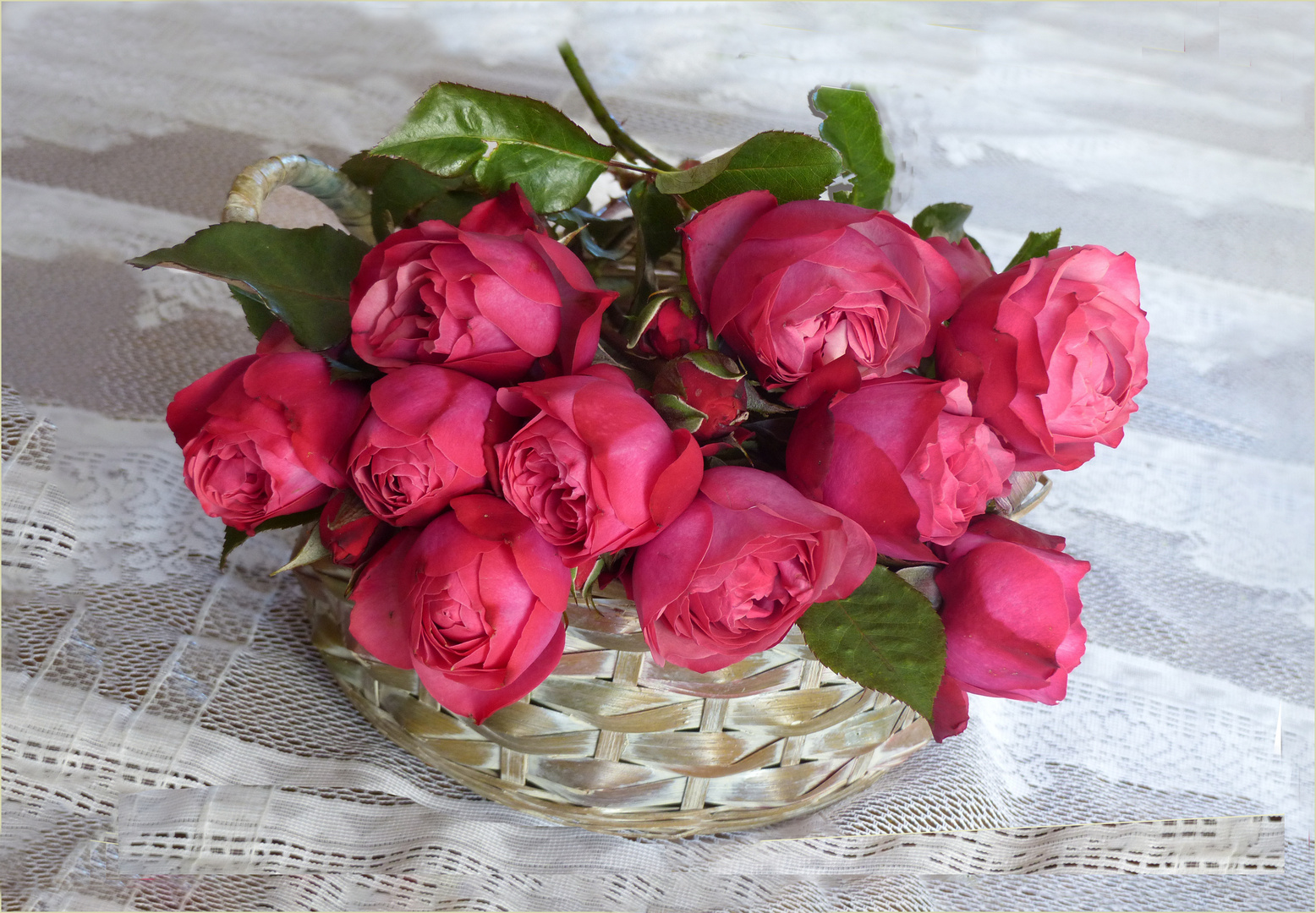 Alles Liebe zum Geburtstag Foto &amp; Bild | blumen , fotos, spezial Bilder ...