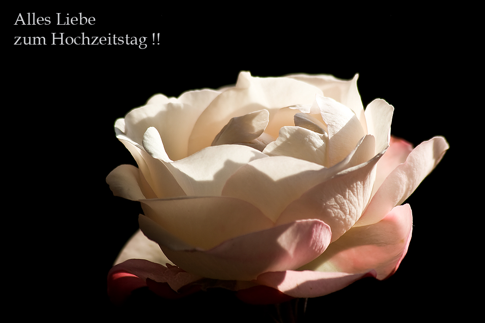 Alles Liebe zum Hochzeitstag...