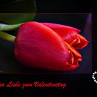 Alles Liebe zum Valentinstag.....