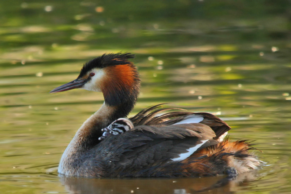 Alles meine Kinder!!!