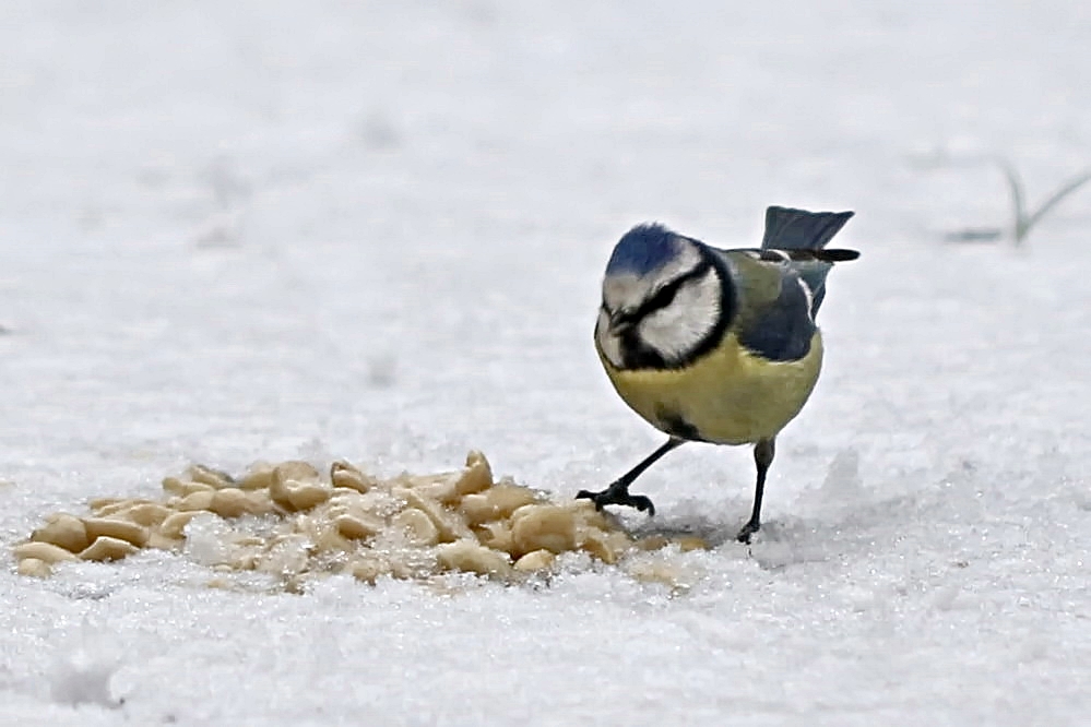 alles meins...