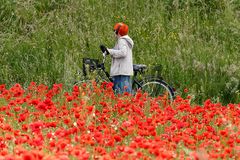 Alles Mohn, oder was?