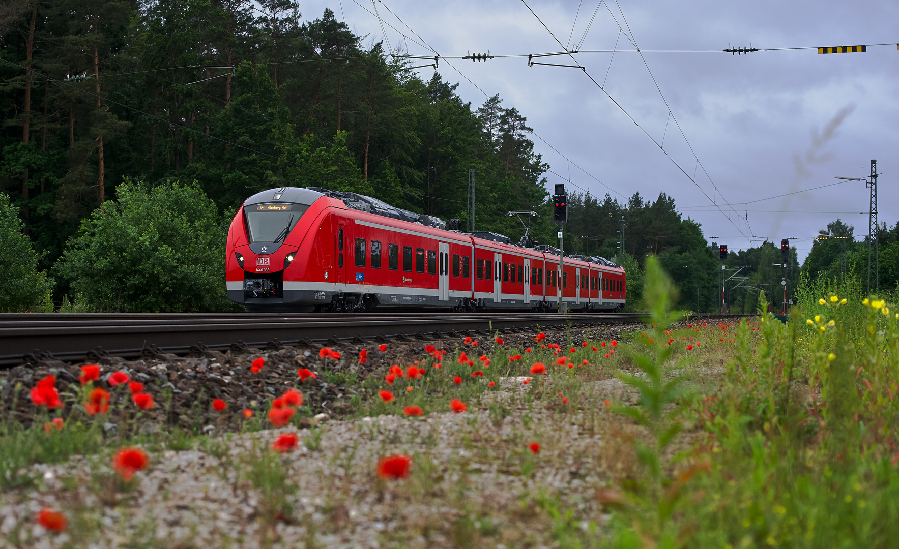 Alles neu macht der Juni