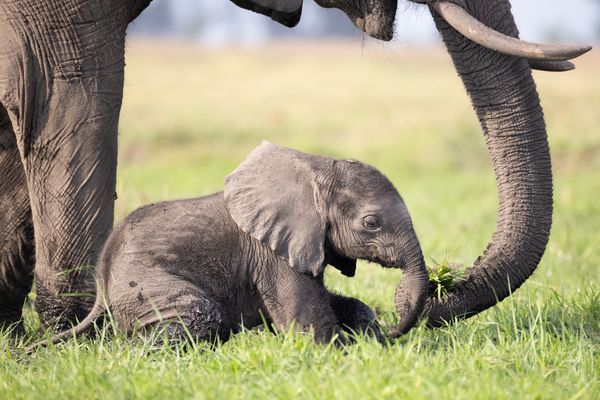 Alles noch so anstrengend