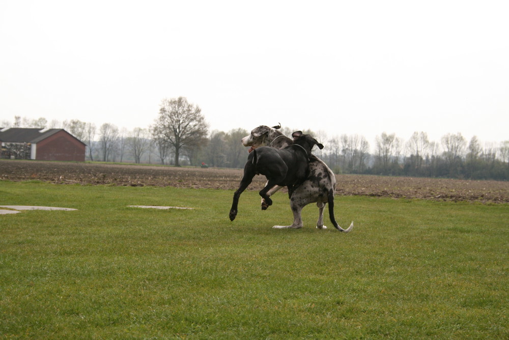 Alles ohne Airback