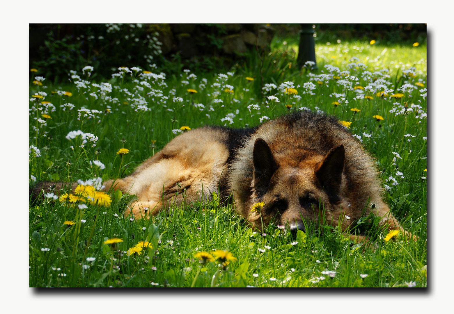 Alles richt nach Frühling