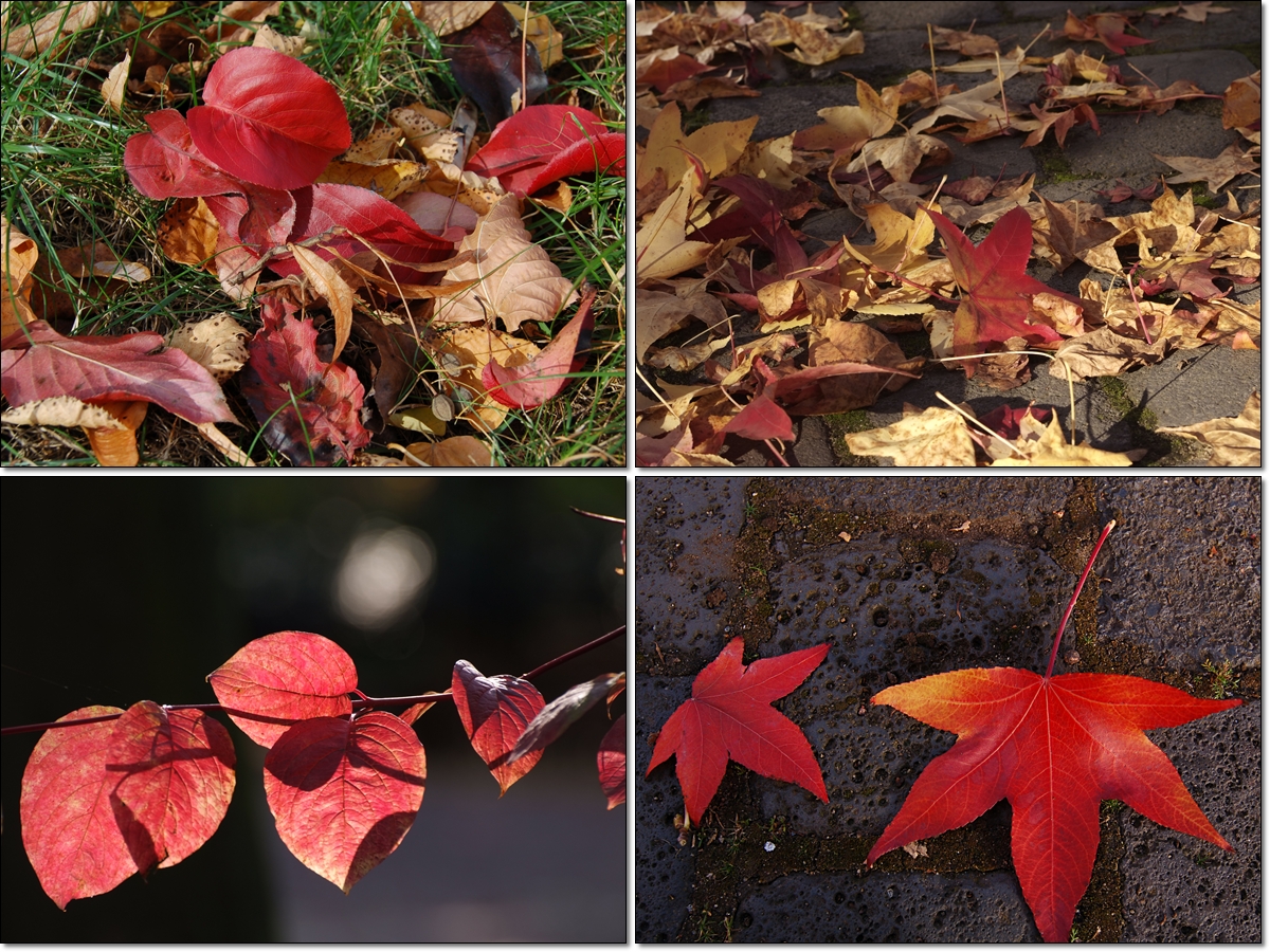 alles rot