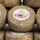 Alles (Schafs) Kaese - Pecorino tradizionale